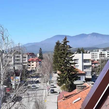 шошови Welingrad