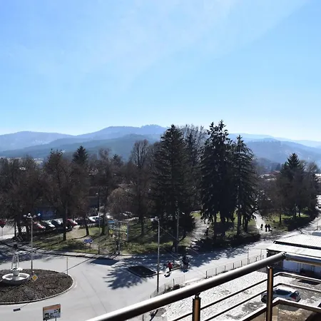 шошови * Velingrad