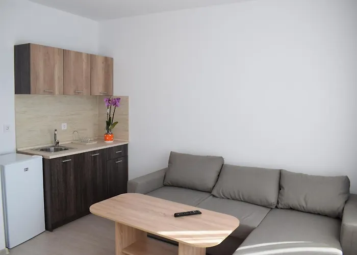 шошови 4* Welingrad